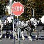 Brauerfest 2012