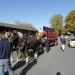 Brauerfest 2012