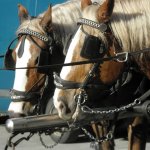 Brauerfest 2012