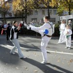 Brauerfest 2012